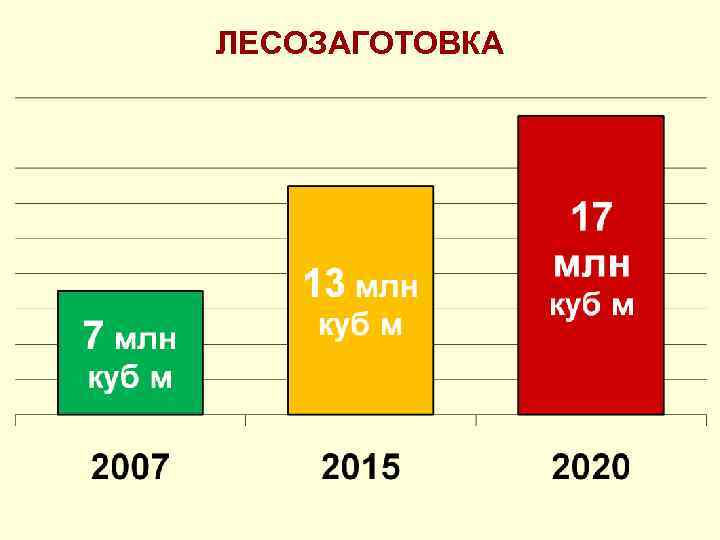ЛЕСОЗАГОТОВКА 