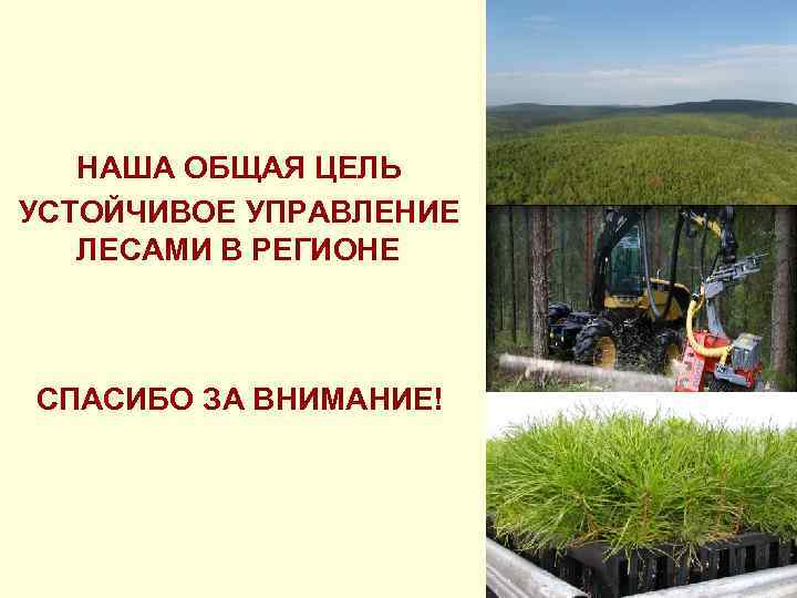 НАША ОБЩАЯ ЦЕЛЬ УСТОЙЧИВОЕ УПРАВЛЕНИЕ ЛЕСАМИ В РЕГИОНЕ СПАСИБО ЗА ВНИМАНИЕ! 