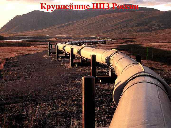 Крупнейшие НПЗ России 