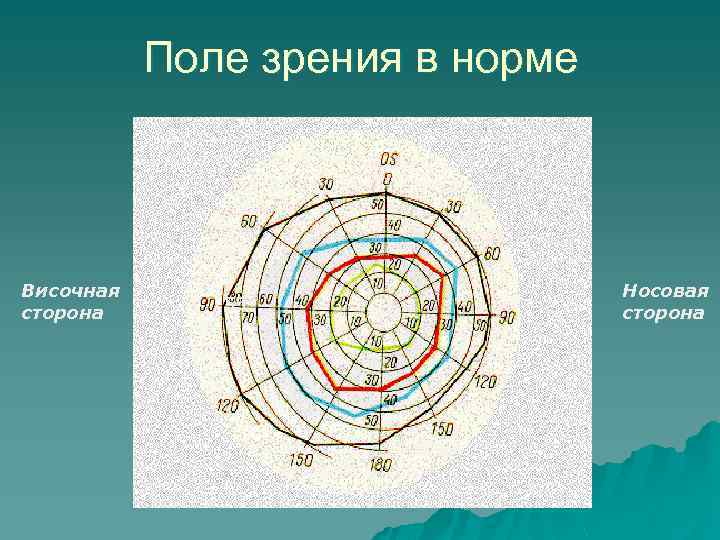 Поле зрения в норме Височная сторона 55 Носовая сторона 
