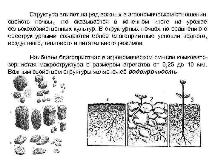 Что такое структура почвы кратко