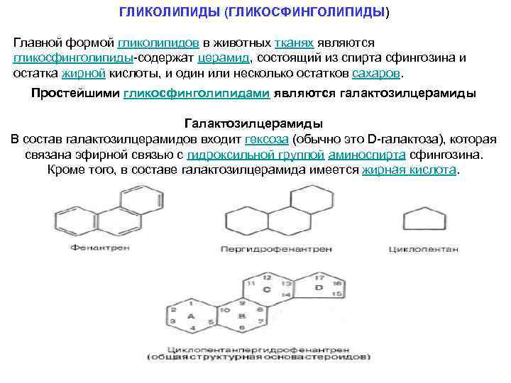 Соединения содержащие в своем составе. Гликолипиды. Общая структура гликолипида. Гликосфинголипиды. Гликолипиды это.