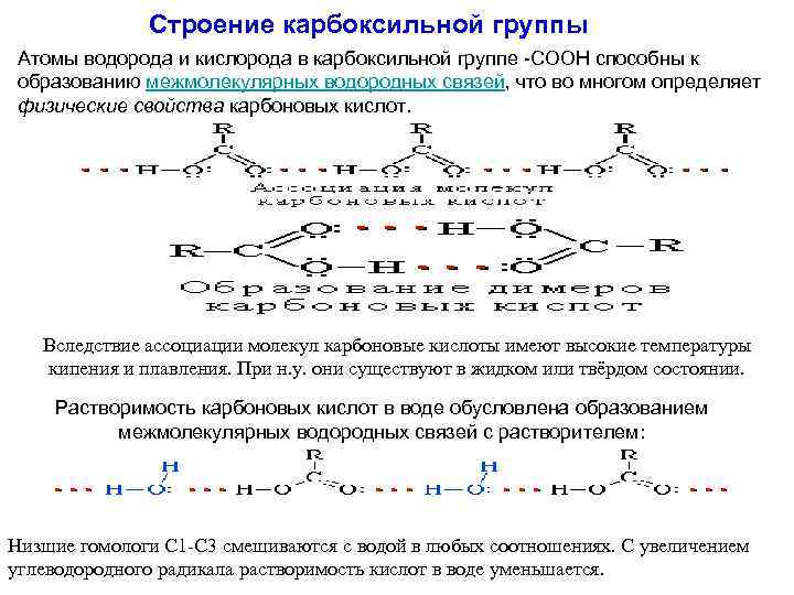 Строение карбоксильной группы Атомы водорода и кислорода в карбоксильной группе -СООН способны к образованию