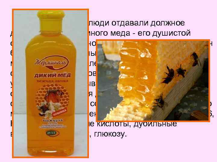 Во все времена люди отдавали должное достоинствам пчелиного меда - его душистой сладости, питательности