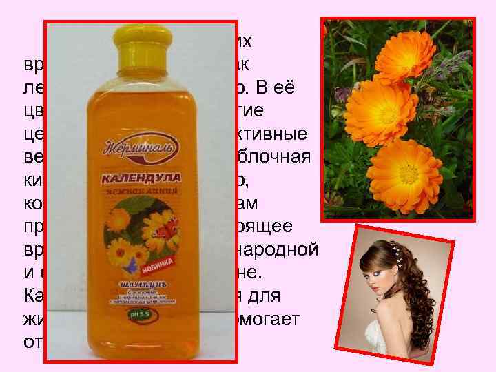 Календула с древних времён используется как лекарственное средство. В её цветах содержатся многие ценные