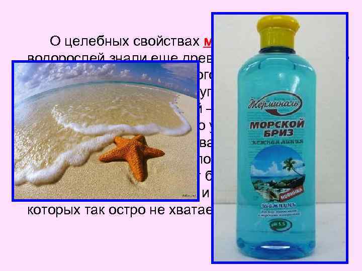 О целебных свойствах морской воды и водорослей знали еще древние народы, жившие на побережье