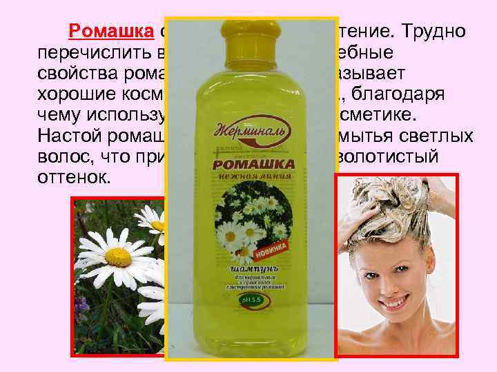 Ромашка очень полезное растение. Трудно перечислить все лечебные и целебные свойства ромашки. Ромашка показывает