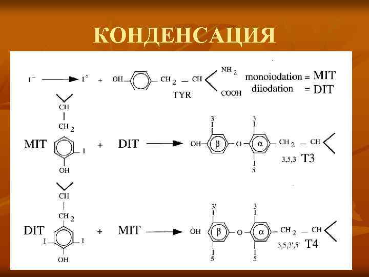 КОНДЕНСАЦИЯ 