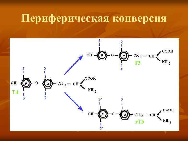 Периферическая конверсия 