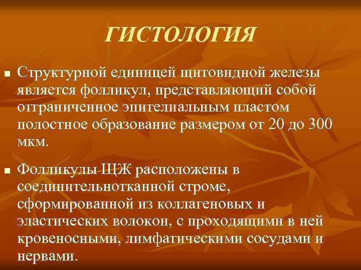 ГИСТОЛОГИЯ n n Структурной единицей щитовидной железы является фолликул, представляющий собой отграниченное эпителиальным пластом
