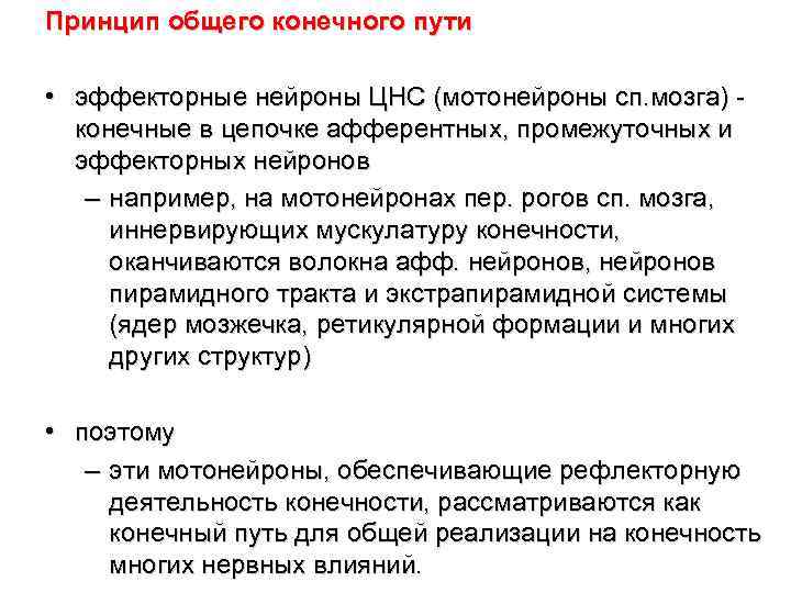 Принцип общего конечного пути • эффекторные нейроны ЦНС (мотонейроны сп. мозга) - конечные в