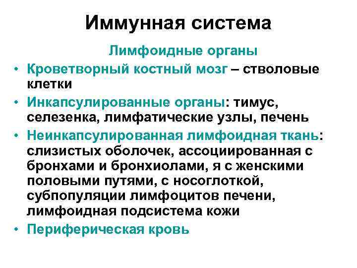 Иммунная система • • Лимфоидные органы Кроветворный костный мозг – стволовые клетки Инкапсулированные органы: