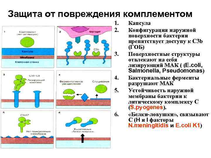 Защиты от повреждений