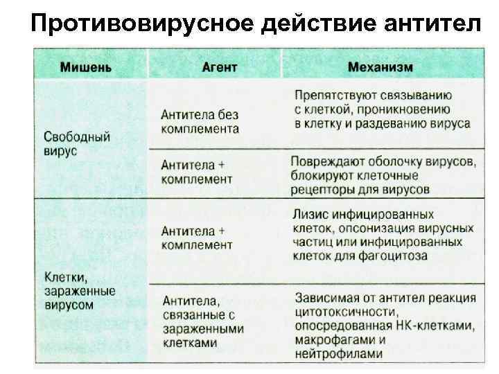 Противовирусное действие антител 