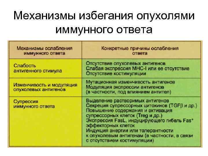Механизмы избегания опухолями иммунного ответа 