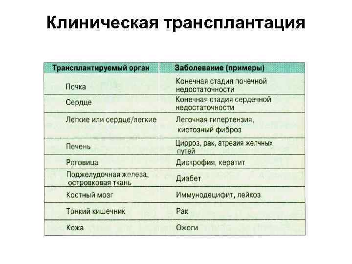 Клиническая трансплантация 