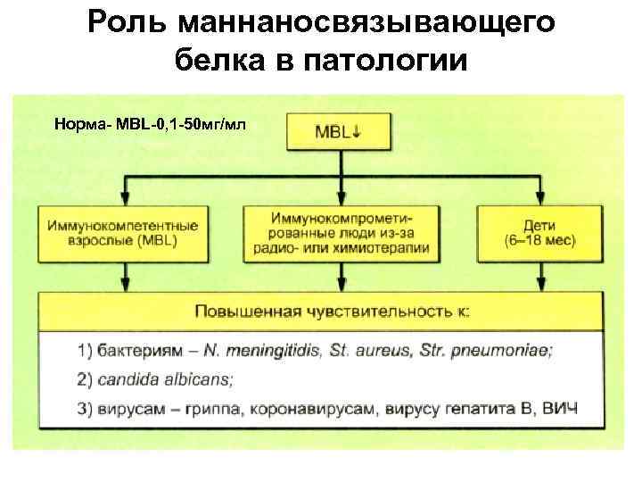 Роль маннаносвязывающего белка в патологии Норма- MBL-0, 1 -50 мг/мл 