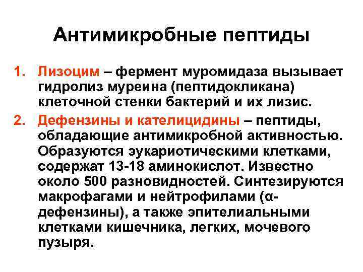 Антимикробные пептиды 1. Лизоцим – фермент муромидаза вызывает гидролиз муреина (пептидокликана) клеточной стенки бактерий