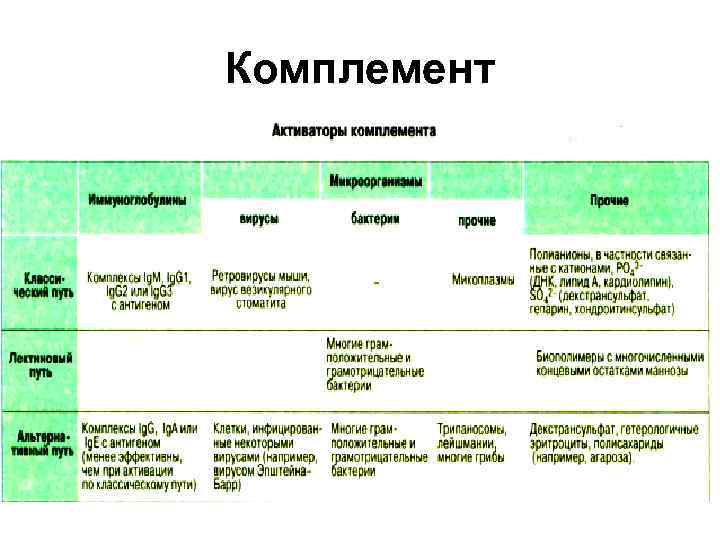 Система комплемента картинки