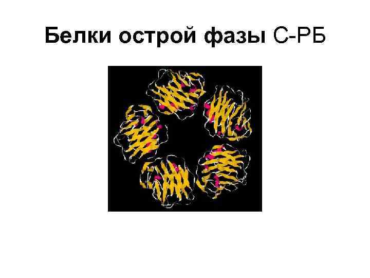 Белки острой фазы презентация