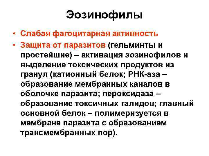 Эозинофилы • Слабая фагоцитарная активность • Защита от паразитов (гельминты и простейшие) – активация