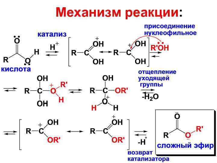 Механизм реакции: 