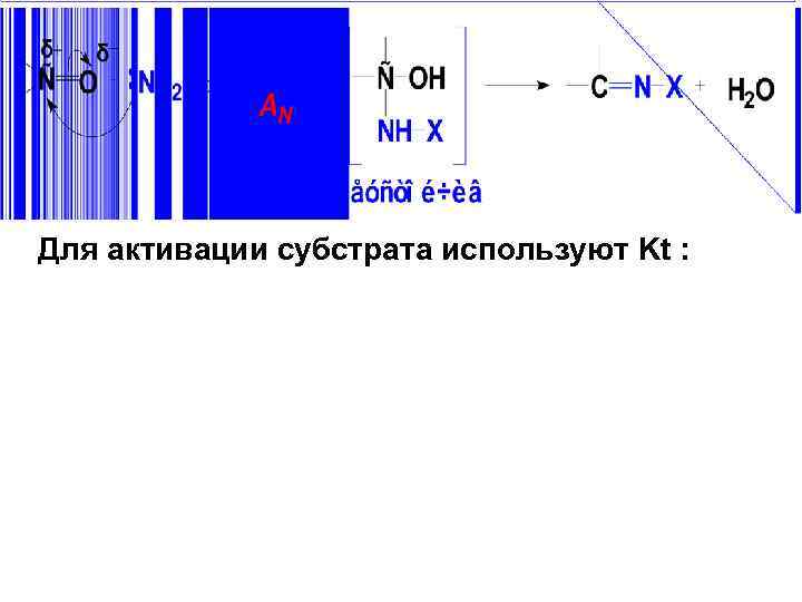 Для активации субстрата используют Kt : 
