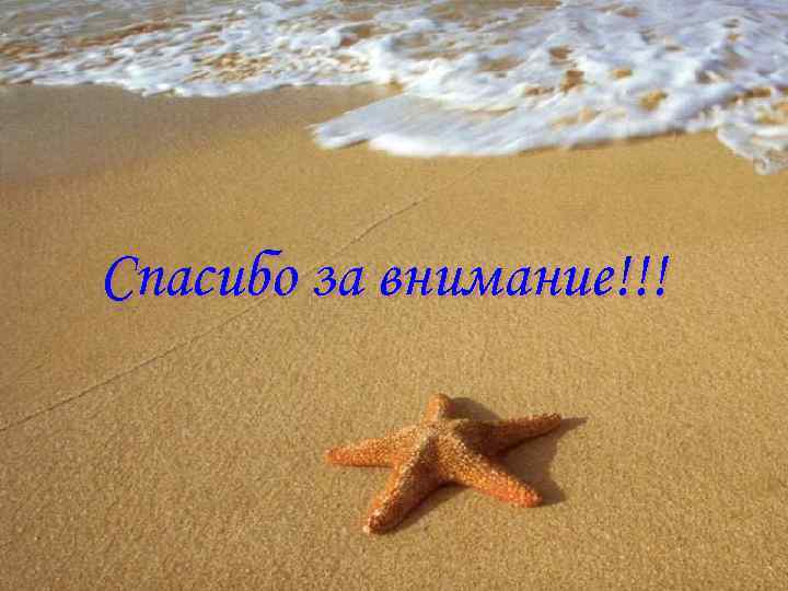 Спасибо за внимание!!! 
