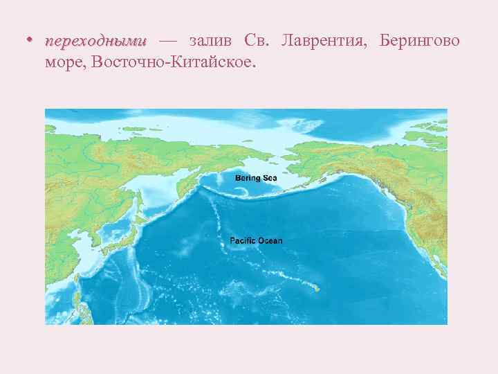 Презентация на тему берингово море