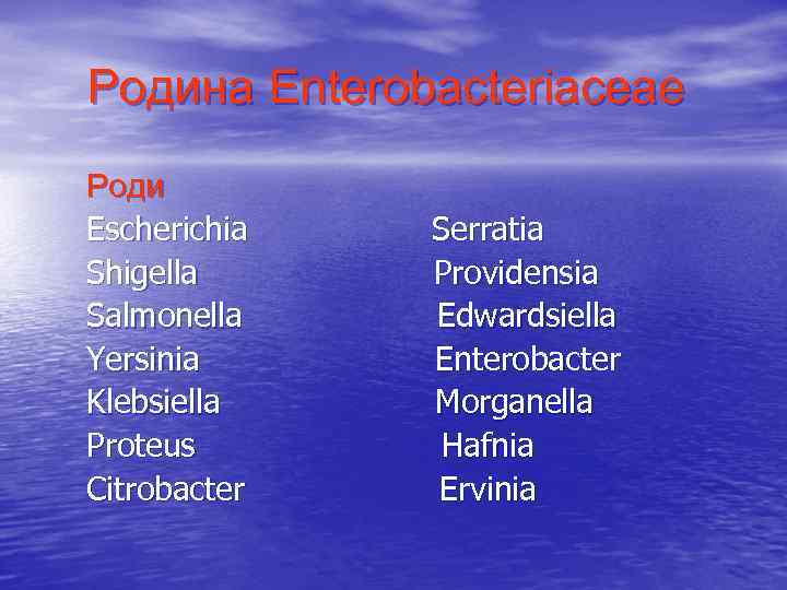 Родина Enterobacteriaceae Роди Escherichia Shigella Salmonella Yersinia Klebsiella Proteus Citrobacter Serratia Providensia Edwardsiella Enterobacter