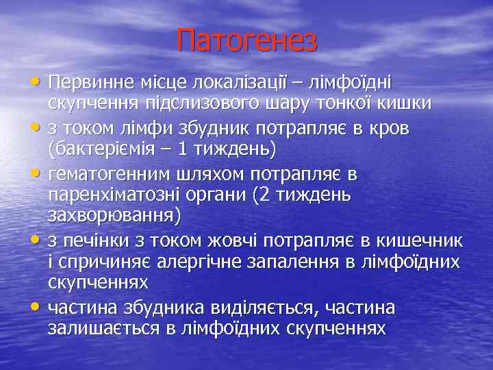 Патогенез • Первинне місце локалізації – лімфоїдні • • скупчення підслизового шару тонкої кишки