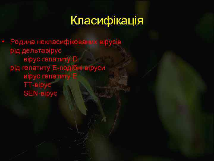 Класифікація • Родина некласифікованих вірусів рід дельтавірус гепатиту D рід гепатиту Е-подібні віруси вірус