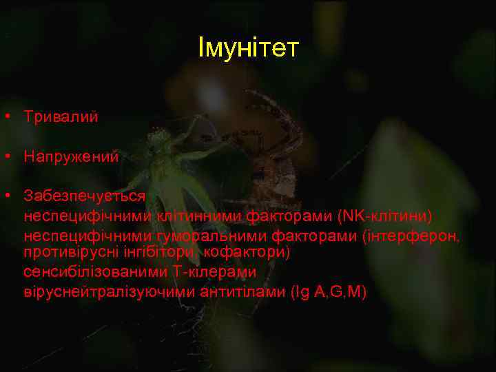 Імунітет • Тривалий • Напружений • Забезпечується неспецифічними клітинними факторами (NK-клітини) неспецифічними гуморальними факторами