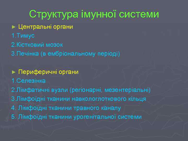 Структура імунної системи Центральні органи 1. Тимус 2. Кістковий мозок 3. Печінка (в ембріональному