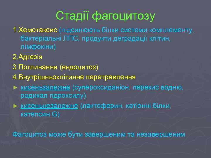 Стадії фагоцитозу 1. Хемотаксис (підсилюють білки системи комплементу, бактеріальні ЛПС, продукти деградації клітин, лімфокіни)