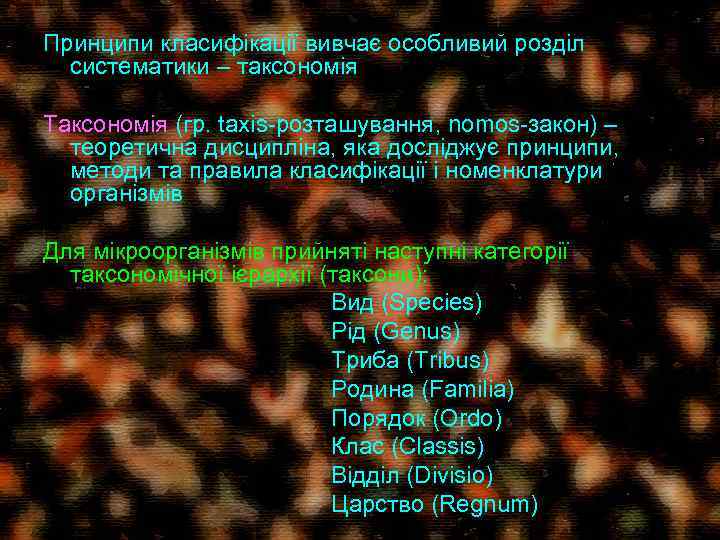Принципи класифікації вивчає особливий розділ систематики – таксономія Таксономія (гр. taxis-розташування, nomos-закон) – теоретична