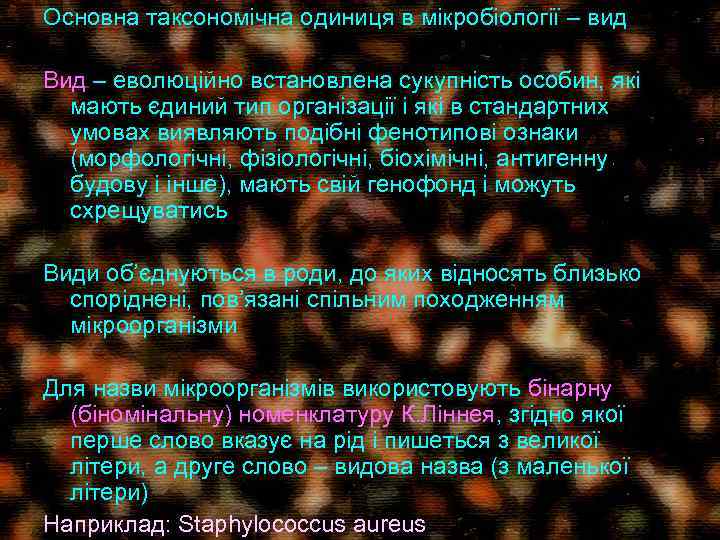 Основна таксономічна одиниця в мікробіології – вид Вид – еволюційно встановлена сукупність особин, які
