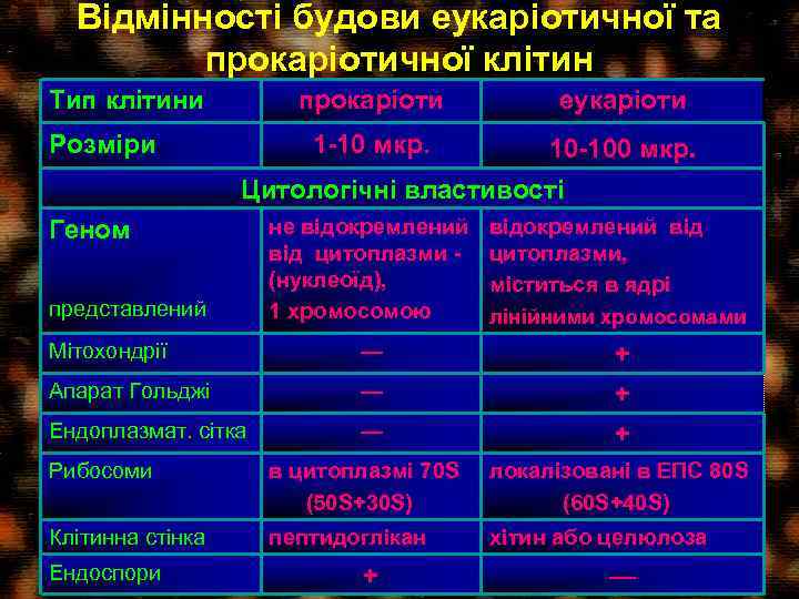 Відмінності будови еукаріотичної та прокаріотичної клітин Тип клітини прокаріоти 1 -10 мкр. Розміри еукаріоти