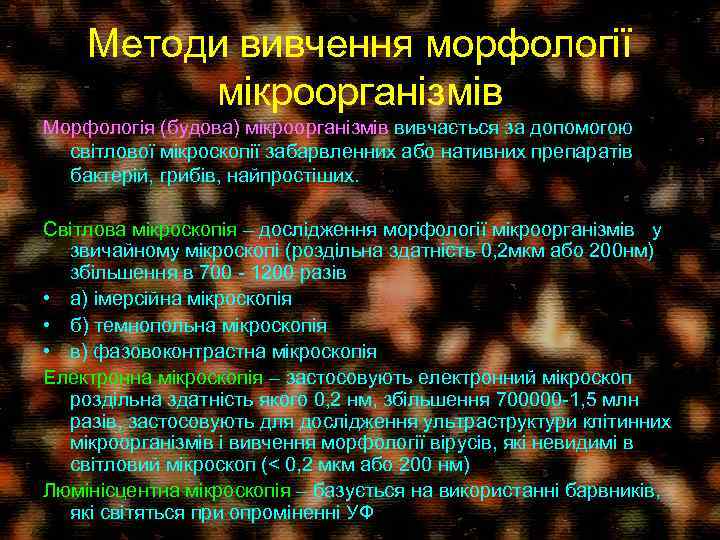 Методи вивчення морфології мікроорганізмів Морфологія (будова) мікроорганізмів вивчається за допомогою світлової мікроскопії забарвленних або
