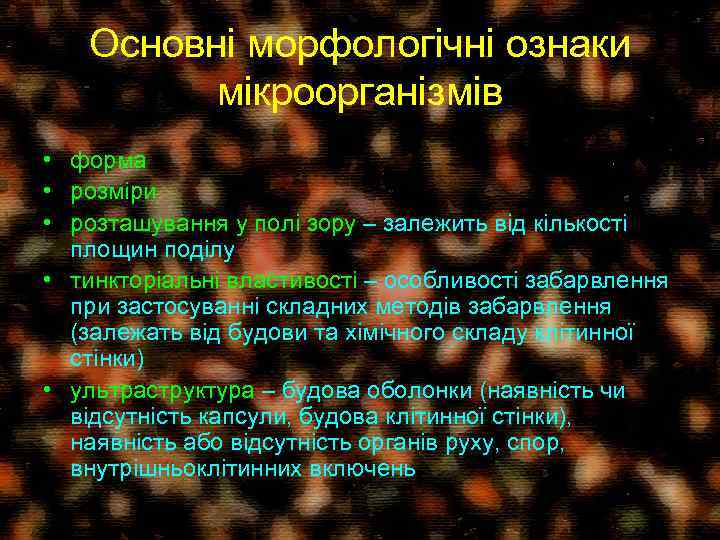 Основні морфологічні ознаки мікроорганізмів • форма • розміри • розташування у полі зору –