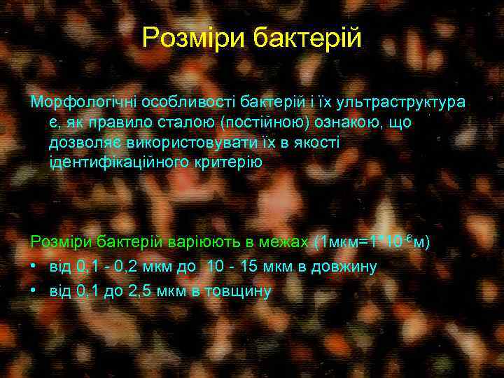 Розміри бактерій Морфологічні особливості бактерій і їх ультраструктура є, як правило сталою (постійною) ознакою,
