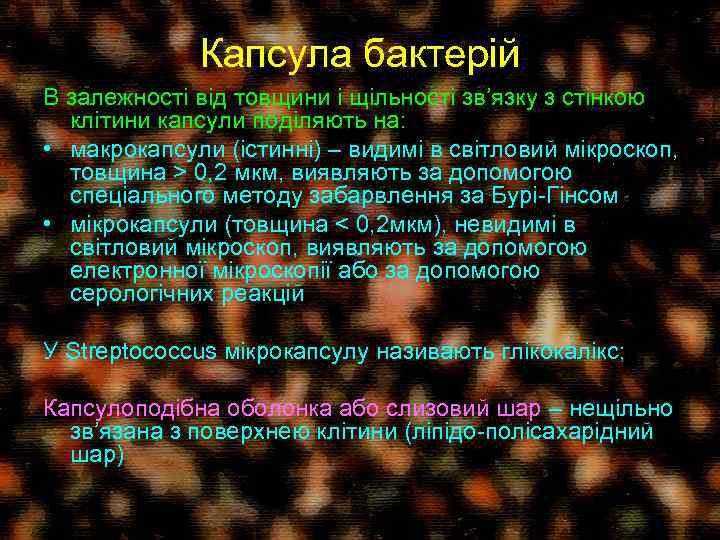 Капсула бактерій В залежності від товщини і щільності зв’язку з стінкою клітини капсули поділяють