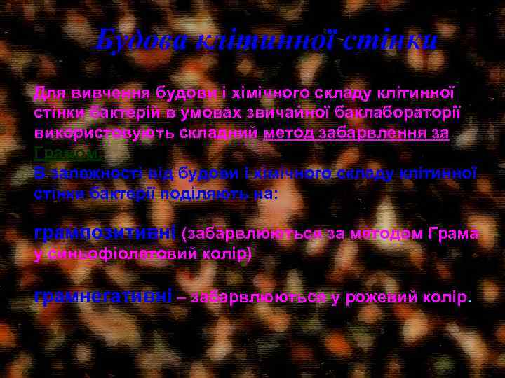 Будова клітинної стінки Для вивчення будови і хімічного складу клітинної стінки бактерій в умовах