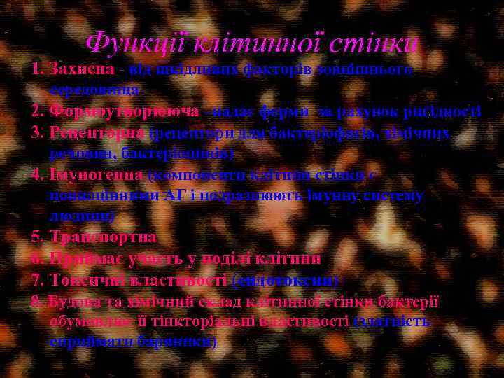 Функції клітинної стінки 1. Захисна - від шкідливих факторів зовнішнього середовища 2. Формоутворююча –надає