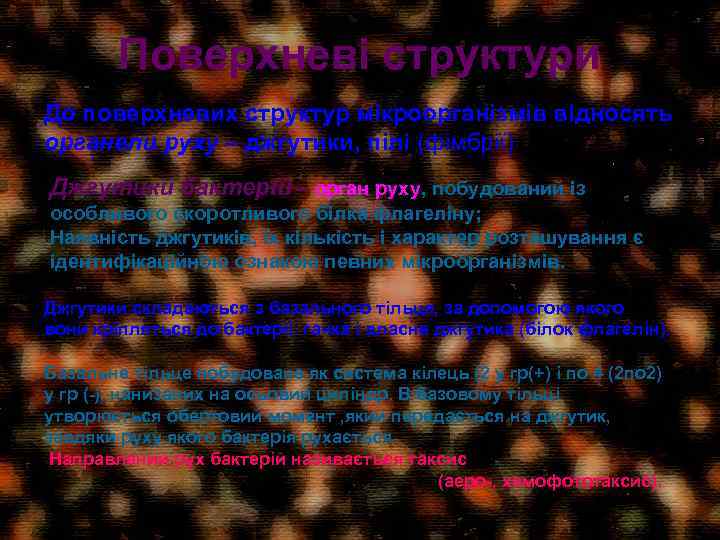Поверхневі структури До поверхневих структур мікроорганізмів відносять органели руху – джгутики, пілі (фімбрії) Джгутики