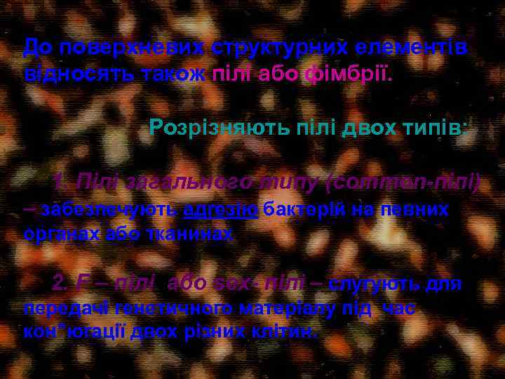 До поверхневих структурних елементів відносять також пілі або фімбрії. Розрізняють пілі двох типів: 1.