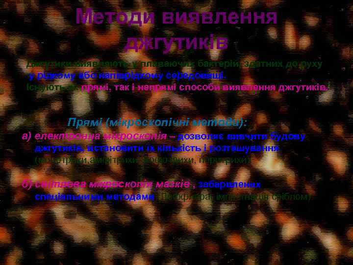 Методи виявлення джгутиків Джгутики виявляють у плаваючих бактерій, здатних до руху у рідкому або
