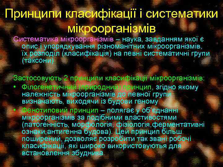 Принципи класифікації і систематики мікроорганізмів Систематика мікроорганізмів – наука, завданням якої є опис і