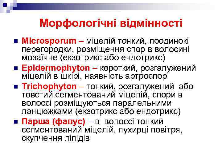 Морфологічні відмінності n n Microsporum – міцелій тонкий, поодинокі перегородки, розміщення спор в волосині