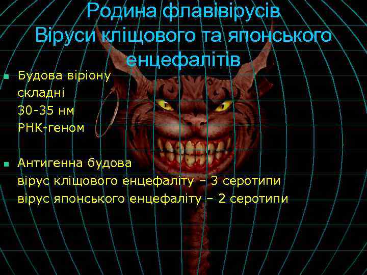 Родина флавівірусів Віруси кліщового та японського енцефалітів n n Будова віріону складні 30 -35